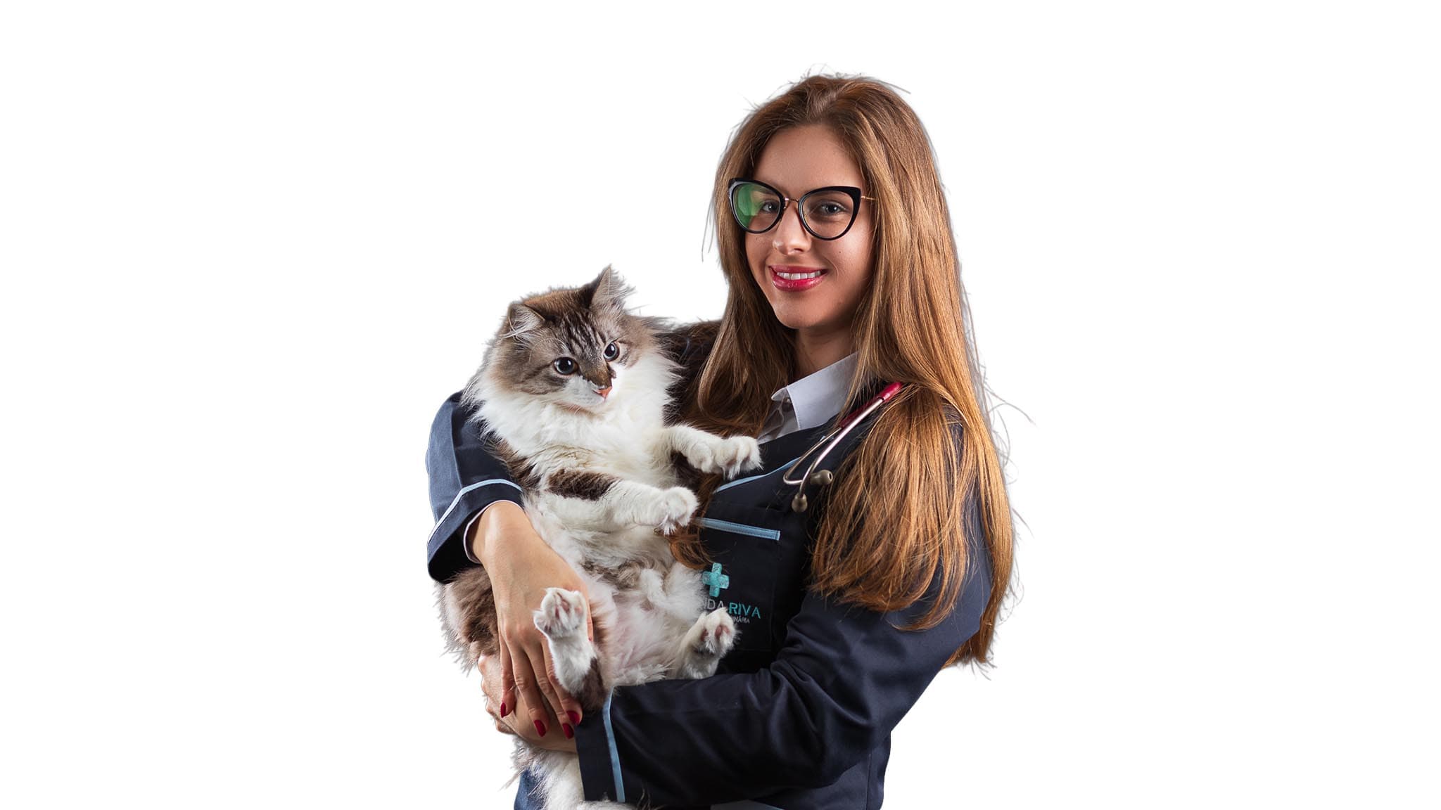 Dra. Amanda Riva no atendimento veterinário